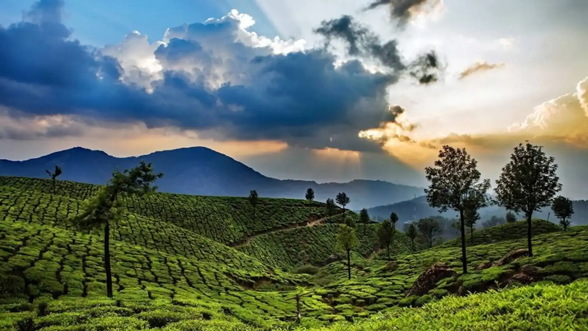 Munnar